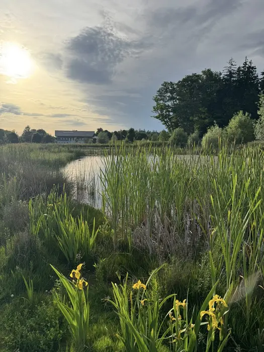 RIVA Aussicht